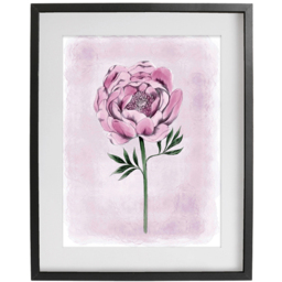 Laura Ashley Peony Floral Black Frame Wall Art 50 x 70cm