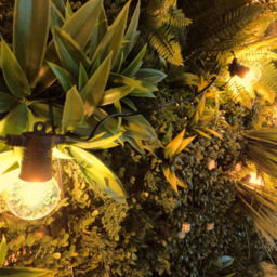 Lighting Legends Super Warm White Plug-in Connectable Festoon Outdoor LED String Light 13m