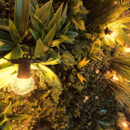 Lighting Legends Super Warm White Plug-in Connectable Festoon Outdoor LED String Light 13m - thumbnail 3