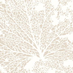 Origin Murals Skeleton Leaf Multi Wall Mural - thumbnail 2