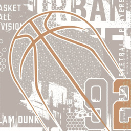 Origin Murals Modern Basketball Grey Wall Mural - thumbnail 2
