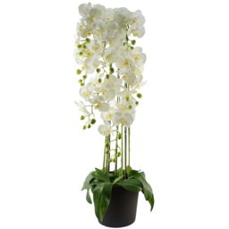 Leaf Large White Orchid Artificial Plant in Pot 3.6ft - thumbnail 1
