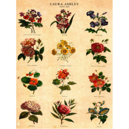 Laura Ashley Botanical Flowers Black Frame Wall Art 40 x 50cm - thumbnail 4