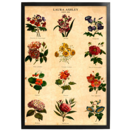 Laura Ashley Botanical Flowers Black Frame Wall Art 40 x 50cm