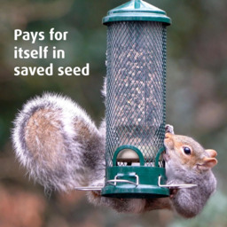 Happy Beaks Brome Squirrel Buster Mini Seed Feeder - thumbnail 4