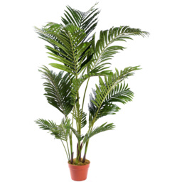 5ft Areca Palm Tree - thumbnail 1