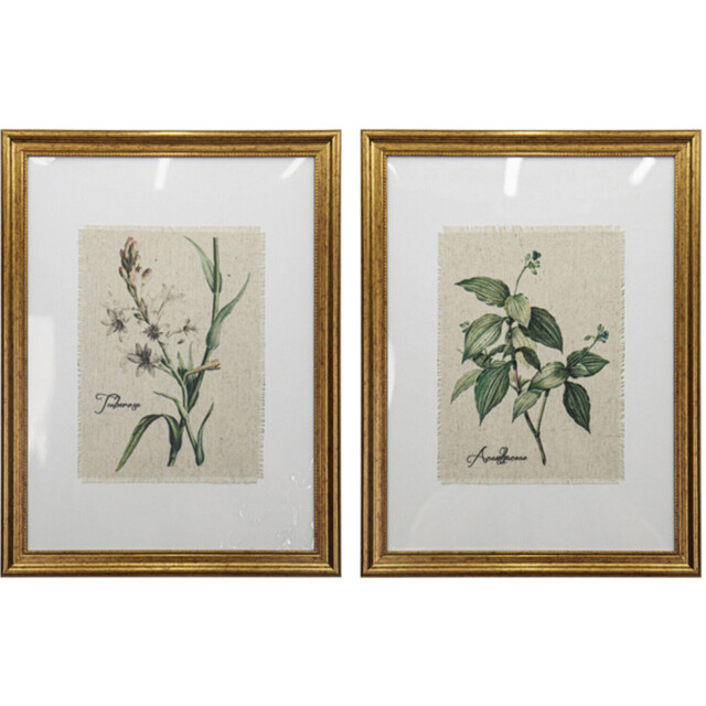 Gold Framed Botanical Flowers Wall Art - image 1