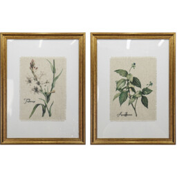 Gold Framed Botanical Flowers Wall Art - thumbnail 1