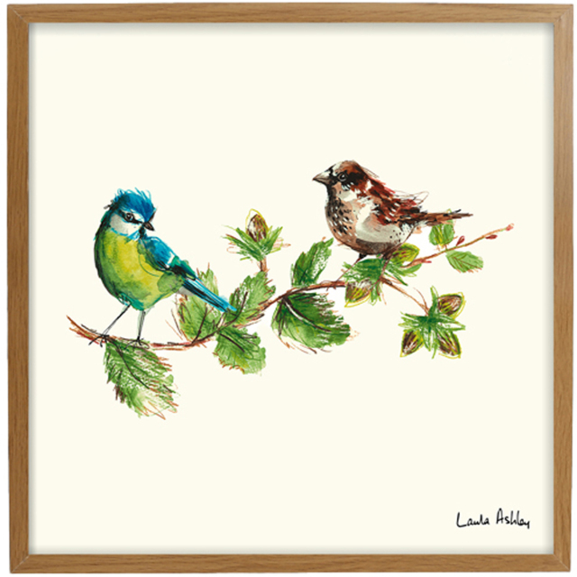 Laura Ashley Sparrow and Blue Tit Bird Wooden Frame Wall Art 50 x 50cmcm - image 1