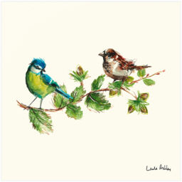 Laura Ashley Sparrow and Blue Tit Bird Wooden Frame Wall Art 50 x 50cmcm - thumbnail 4