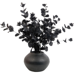 Eucalyptus Vase Arrangement Black - thumbnail 1