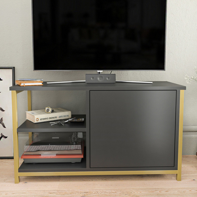 Decorotika Muskegon Single Door 2 Shelf Gold and Anthracite TV Unit - image 1