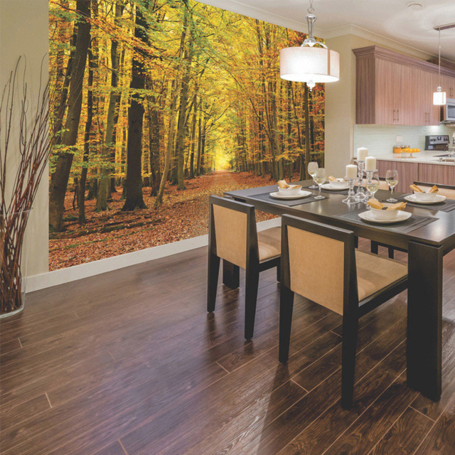 Origin Murals Autumn Forest Orange Wall Mural - image 1