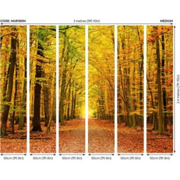 Origin Murals Autumn Forest Orange Wall Mural - thumbnail 3