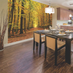 Origin Murals Autumn Forest Orange Wall Mural