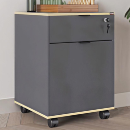 FWStyle Grey Single Door Single Drawer Mobile Storage Unit