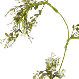 Gypsophila Spray - Green - thumbnail 3