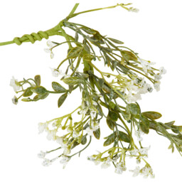 Gypsophila Spray - Green - thumbnail 4