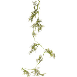 Gypsophila Spray - Green - thumbnail 1