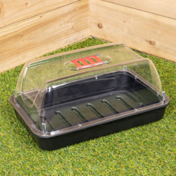 Samuel Alexander Sankey Seed Starter Tray Grostart Midi Propagator Kit Pack of 4 - thumbnail 2