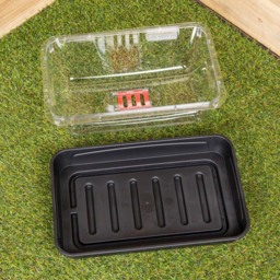 Samuel Alexander Sankey Seed Starter Tray Grostart Midi Propagator Kit Pack of 4 - thumbnail 3