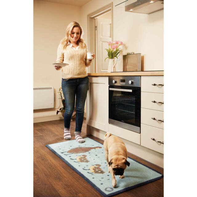 Ducks 1 Blue Washable Doormat - image 1