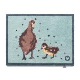 Ducks 1 Blue Washable Doormat