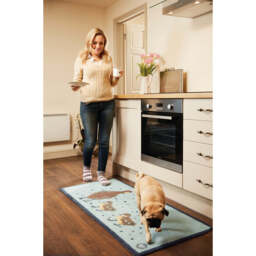 Ducks 1 Blue Washable Doormat