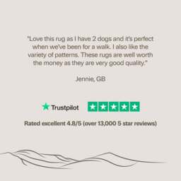 Love Paws Green Washable Doormat - thumbnail 5