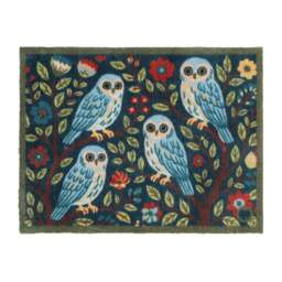 Alison's Owl Washable Doormat