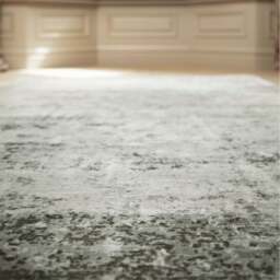Persia Rug Fossil Mist - thumbnail 3