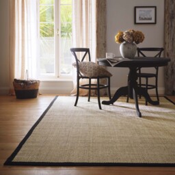 Sisal Light Beige with Black Border Rug - thumbnail 1