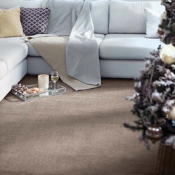 Reef Rug Mink