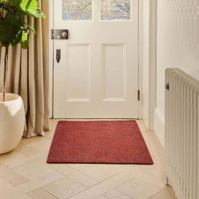 Plain Fleck - Terracotta Doormat - image 1