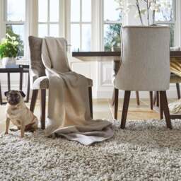Imperial Rug Light Mix - thumbnail 1