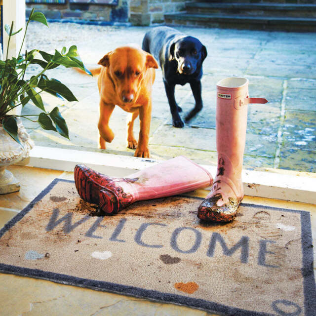 Home 34 Welcome Washable Runner - image 1