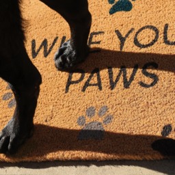 Printed Coir Wipe Your Paws Doormat - thumbnail 4