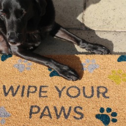 Printed Coir Wipe Your Paws Doormat - thumbnail 3