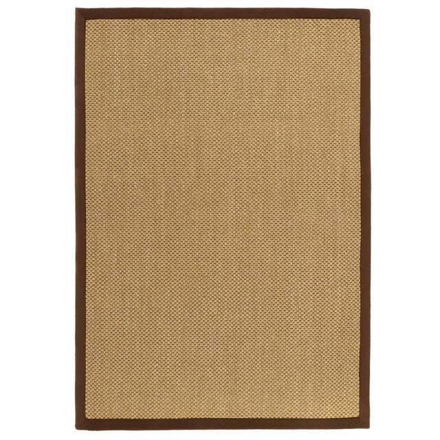 Sisal Natural with Dark Brown Border Rug - image 1