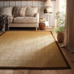 Sisal Natural with Dark Brown Border Rug - thumbnail 1