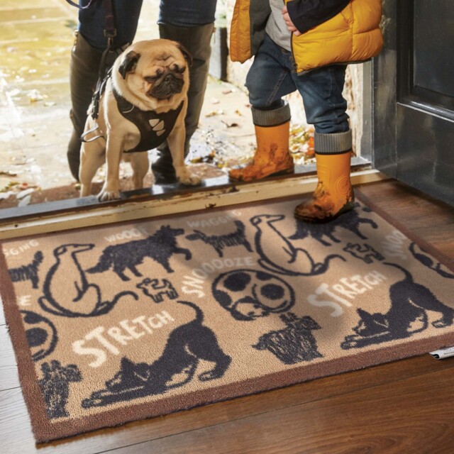 Pet 95 Washable Doormat - image 1