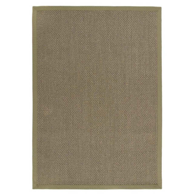 Sisal Green with Sage Green Border Rug - image 1