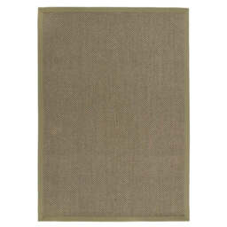 Sisal Green with Sage Green Border Rug