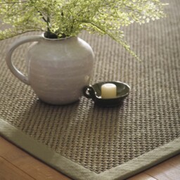 Sisal Green with Sage Green Border Rug - thumbnail 3