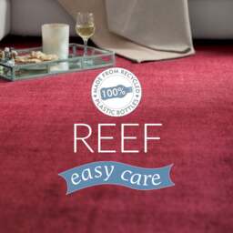 Reef Rug Raspberry - thumbnail 5