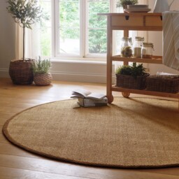 Sisal Natural with Dark Brown Border Rug - thumbnail 5