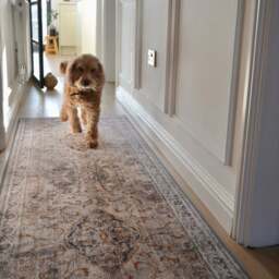 Baroque Eco-Washable Runner - thumbnail 3