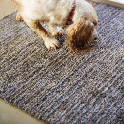Candy Slate Stripe Washable Doormat - thumbnail 4