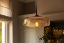 Industville - Albany Glass Ribbed Dish Pendant Light - 12 Inch - Clear - thumbnail 4