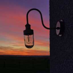 Industville - Swan Neck Outdoor & Bathroom Wall Light - thumbnail 4